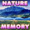 Brain Memory: Nature - Beat all the modes in this nice match card game. You need to start clearing the 