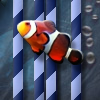 Fish Find! - Accuratley and quickly click on all the fish you see of that fish type!
Get combo's of accurately clicked fish to get a huge combo bonus!