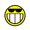Smile - Puzzle game that helps teach absolutely no mathematical concept whatsoever. Yippee! Smile is a simply game in which you are trying to change all the smilely faces into faces with sun glasses, and is based off the popular lights-out game found almost everywhere. Smile is guaranteed to bring a smile to your face or your money back.
